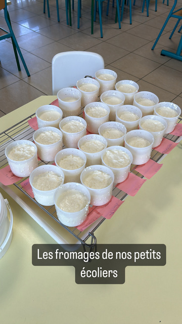 Atelier fromage dans les écoles